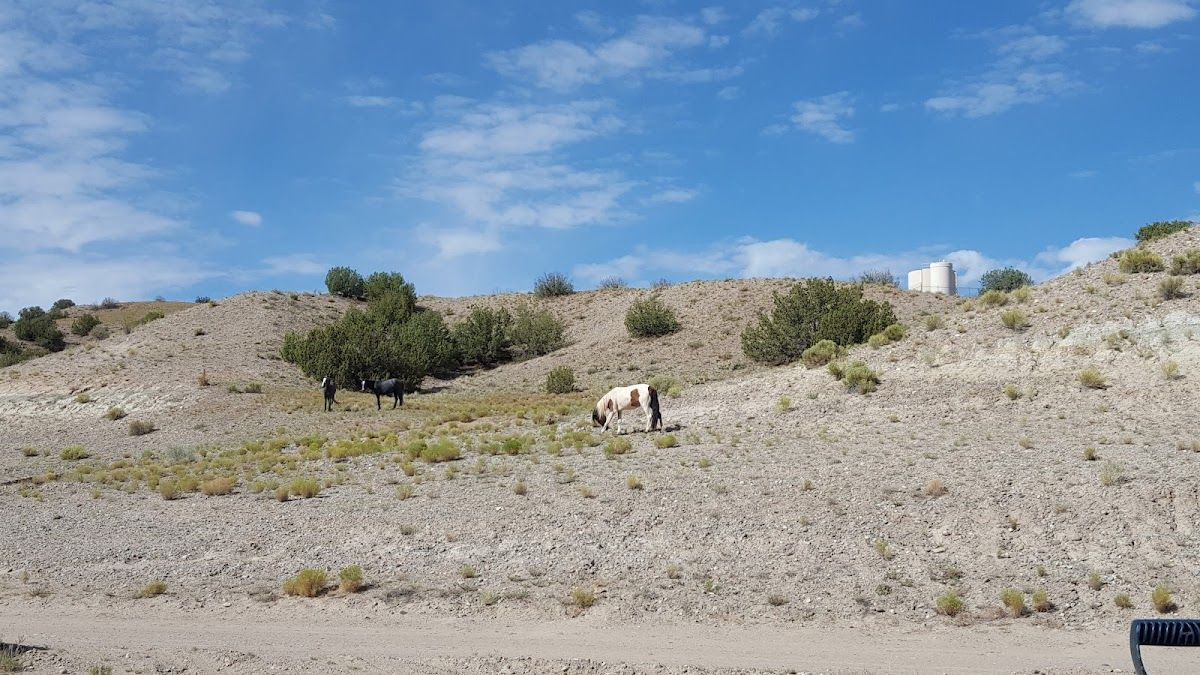 Black Mesa Casino photo 10