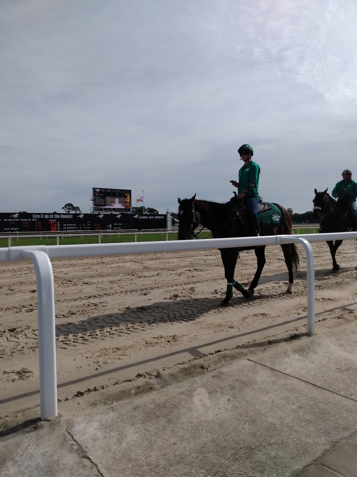 Silk's Poker Room at Tampa Bay Downs photo 3