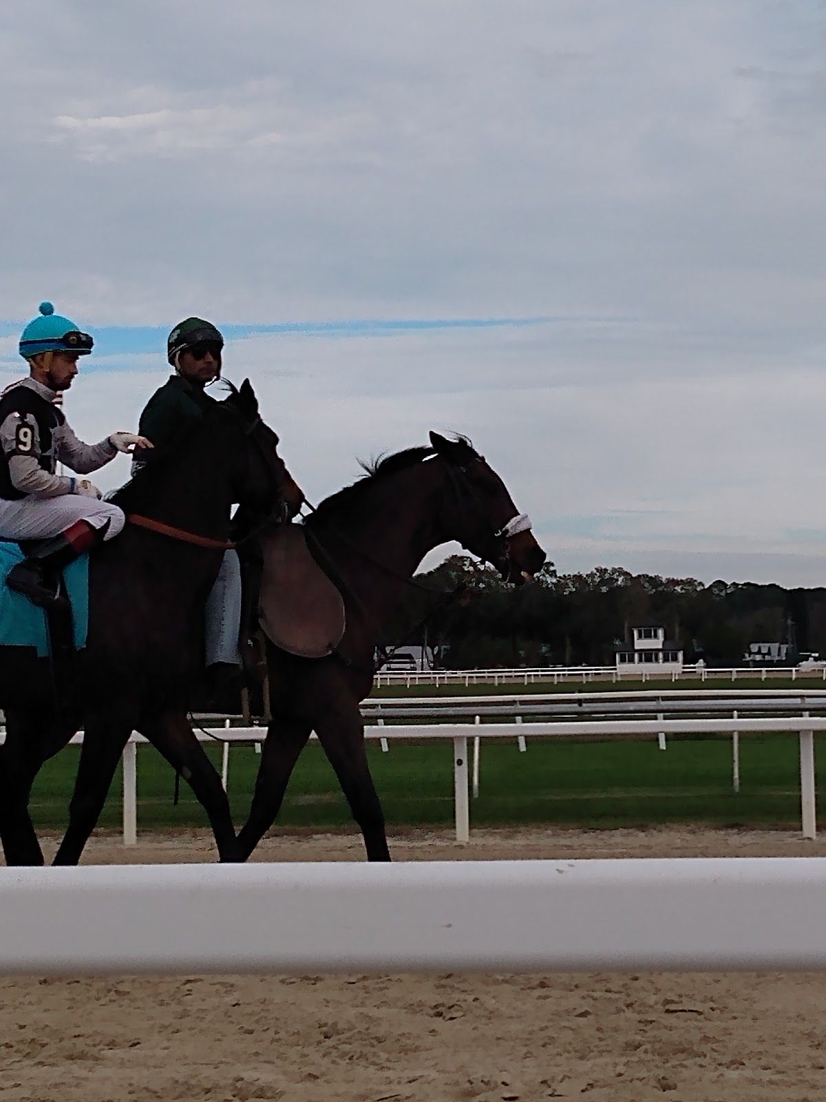 Silk's Poker Room at Tampa Bay Downs photo 4