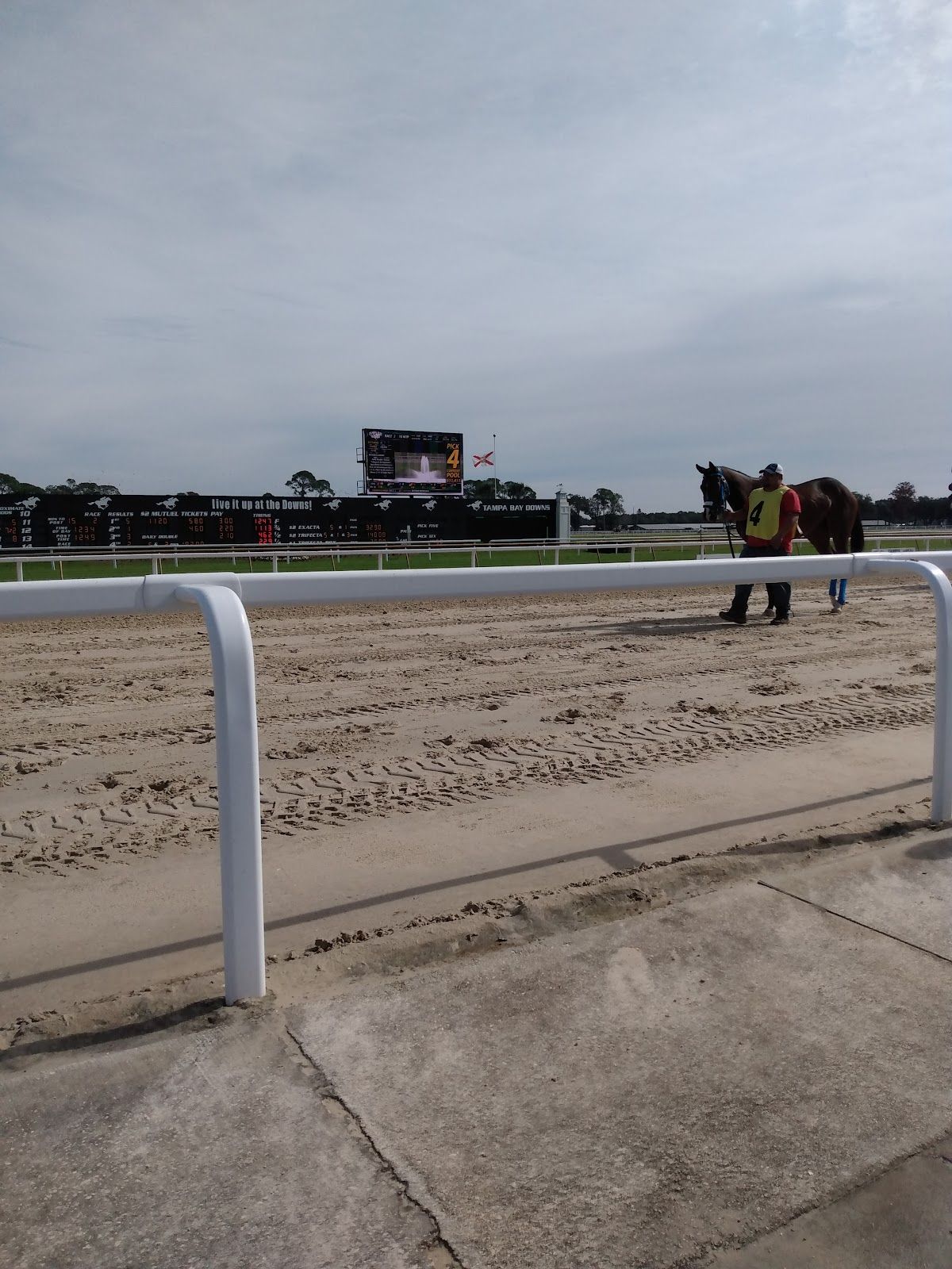 Silk's Poker Room at Tampa Bay Downs photo 5