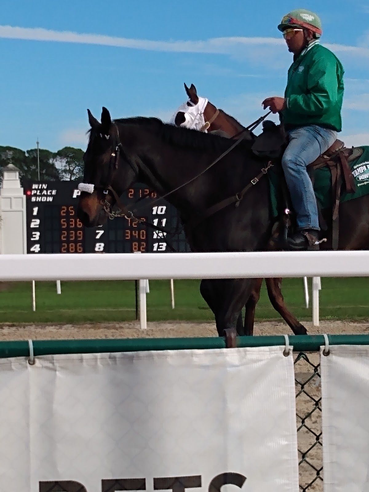 Silk's Poker Room at Tampa Bay Downs photo 8