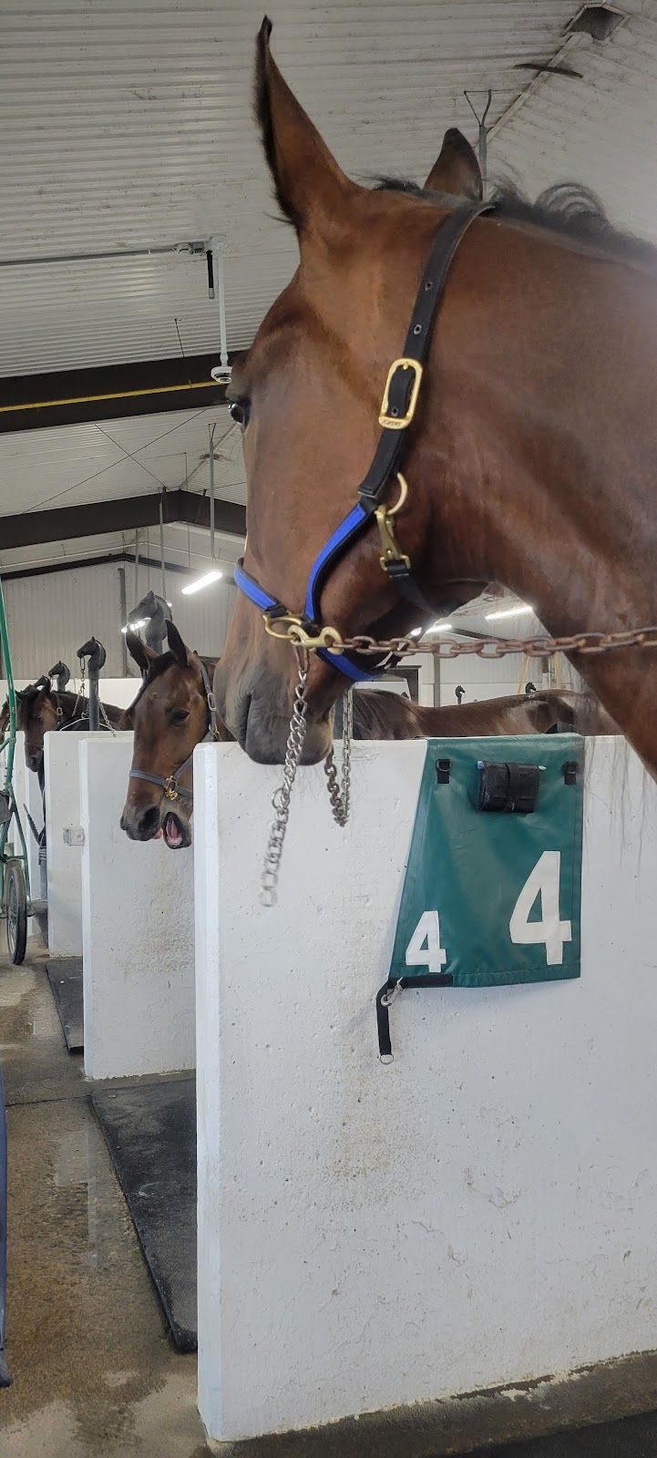 Woodbine Mohawk Park photo 10