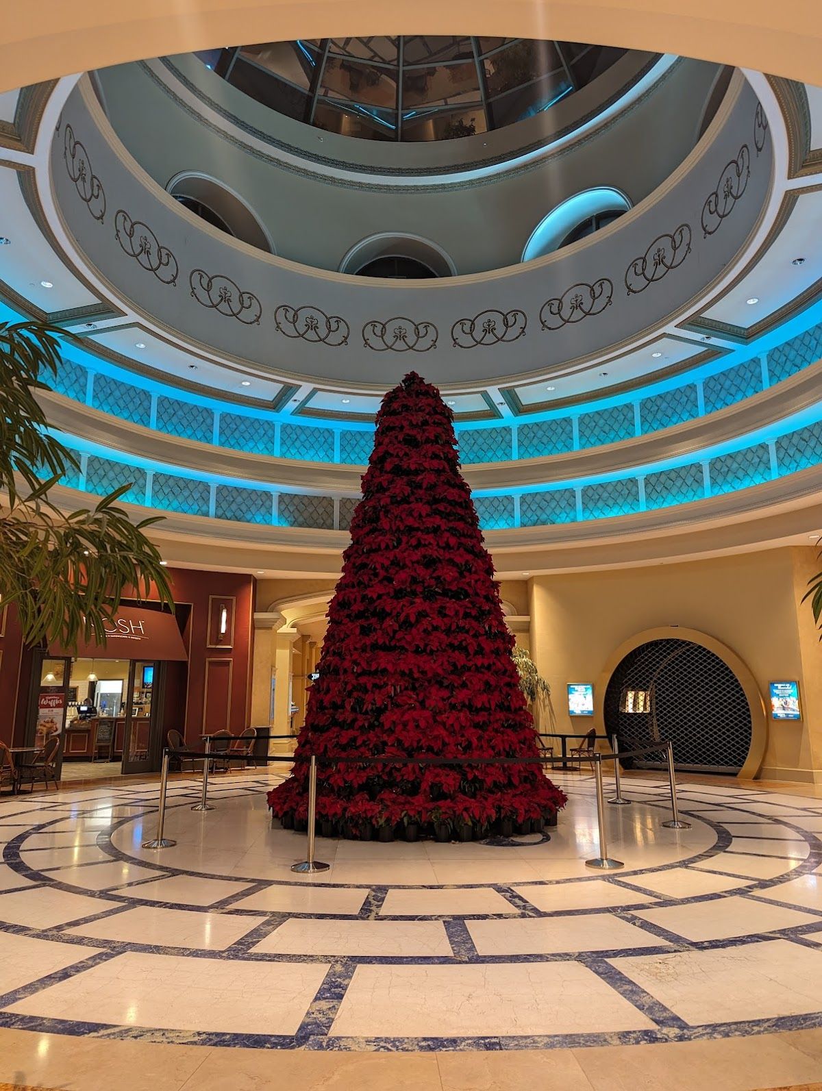 Belterra Casino Resort Poker Room photo 4