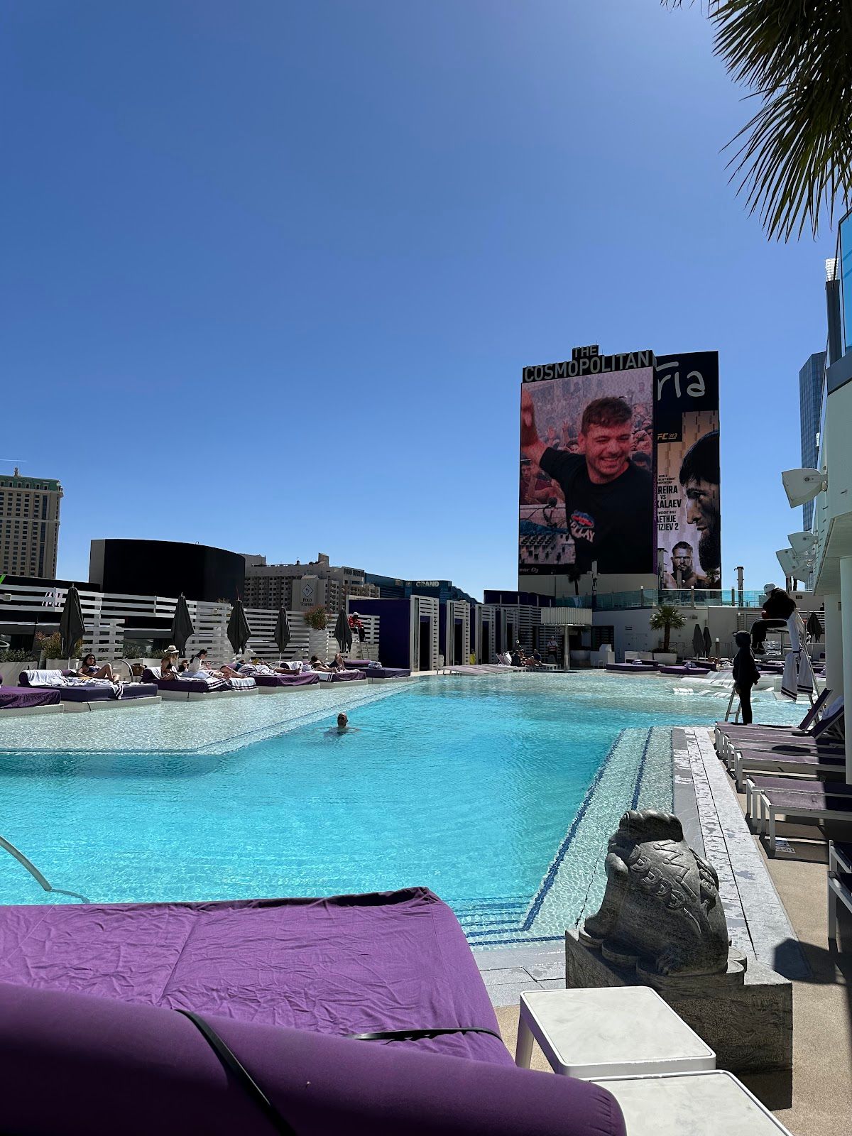 The Cosmopolitan of Las Vegas photo 3