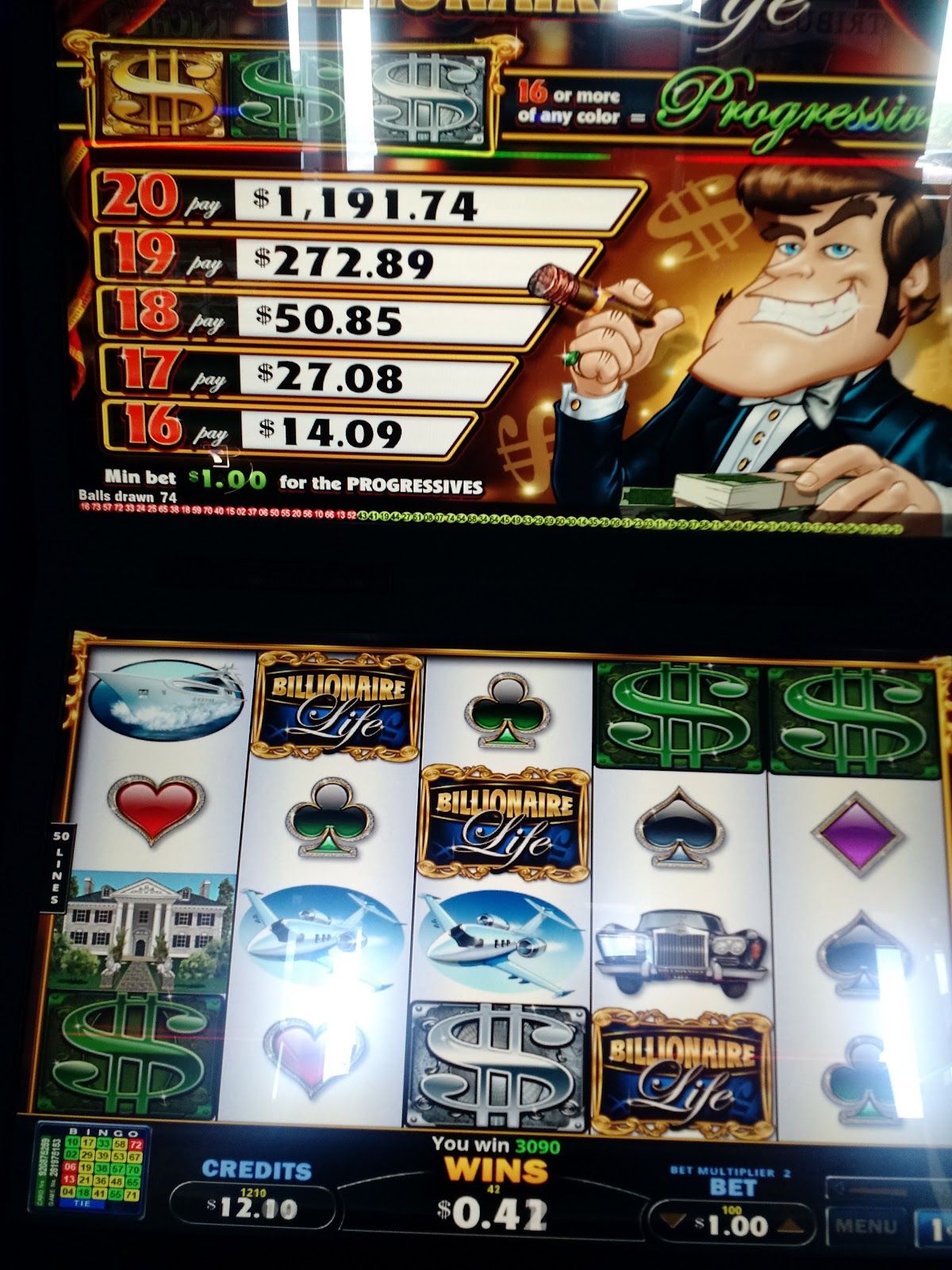 Native Star Casino photo 4