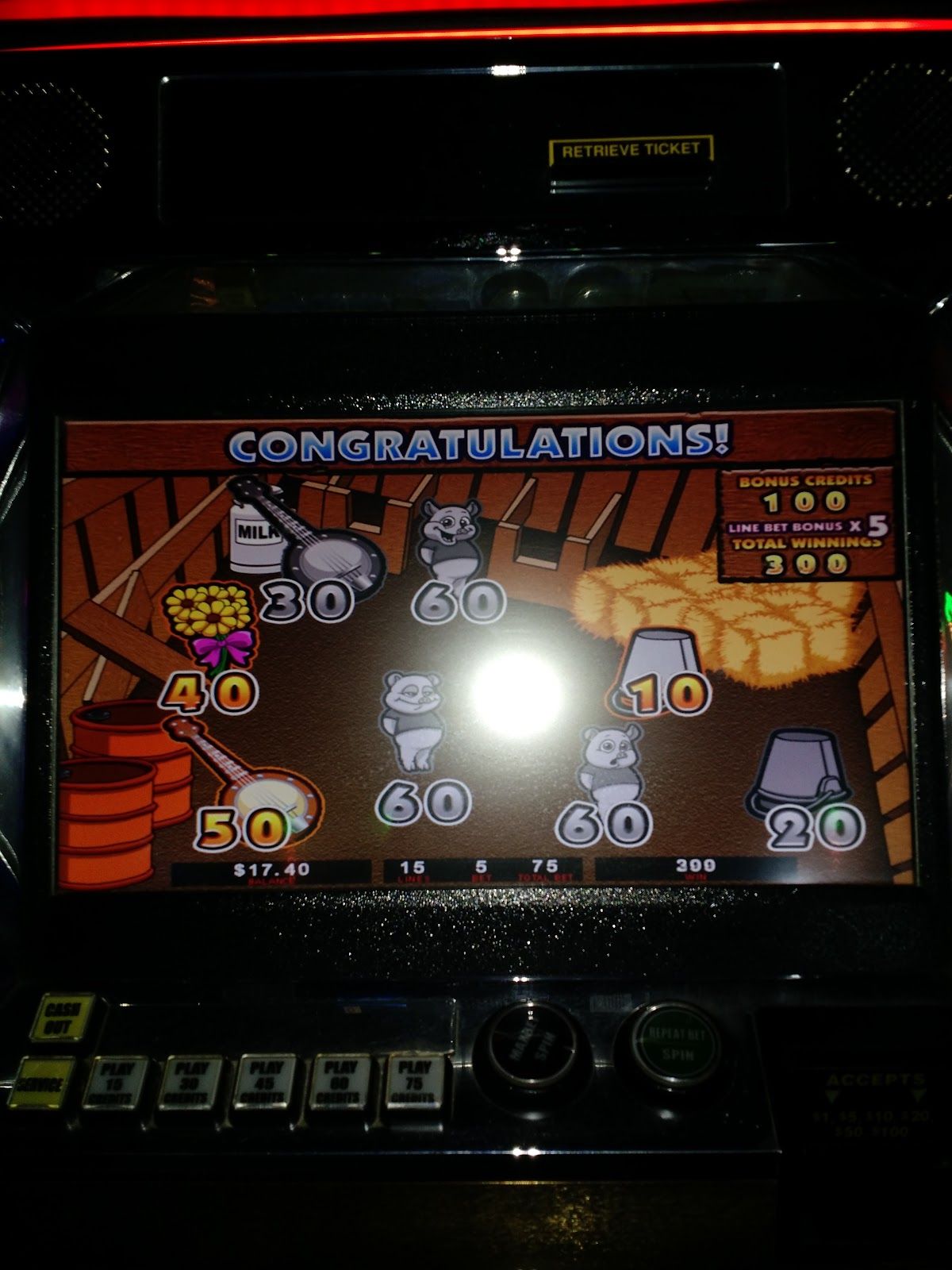 Native Star Casino photo 8