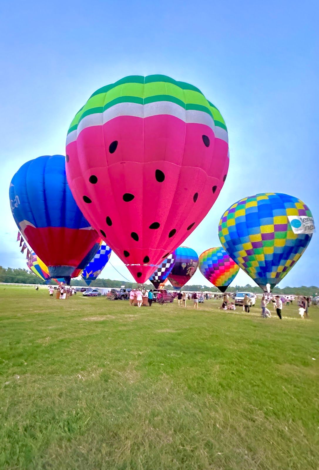 Harrahs Louisiana Downs photo 3