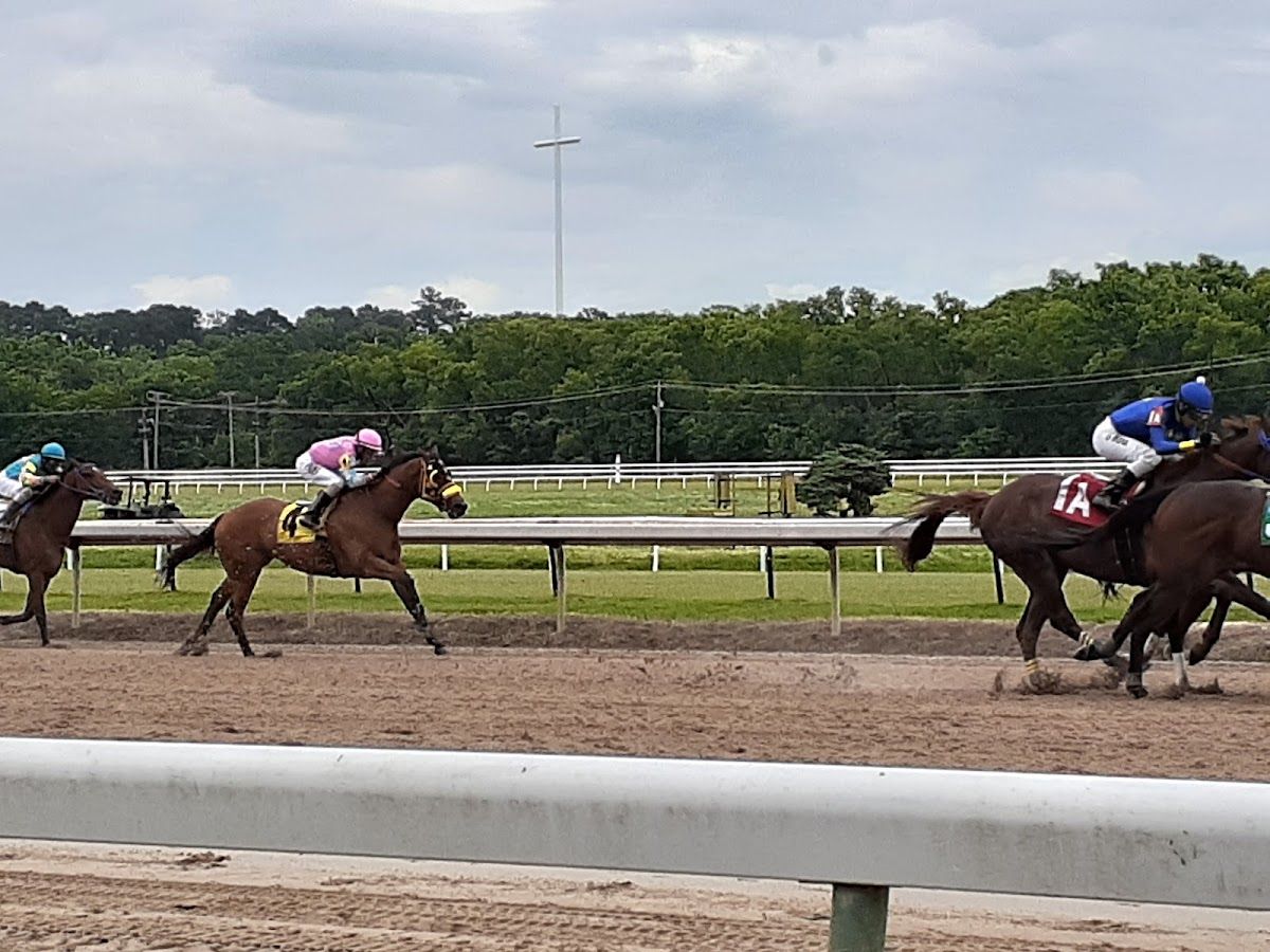 Harrahs Louisiana Downs photo 8