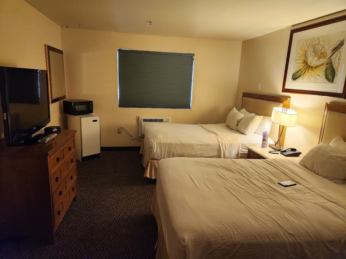 Cities of Gold Casino photo 5
