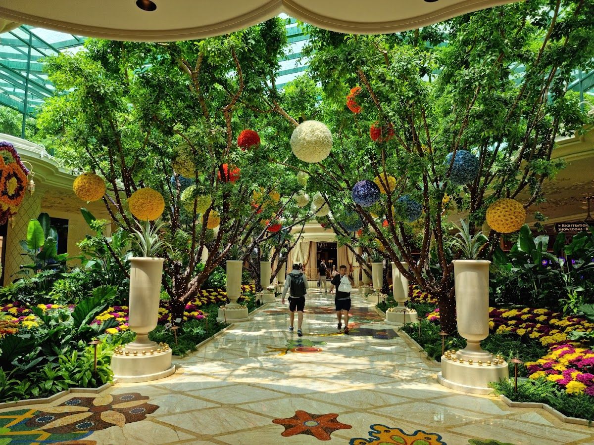 Wynn Race & Sportsbook photo 5