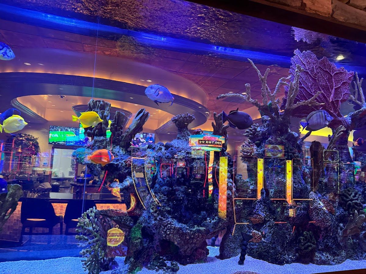 Valley View Casino and Hotel photo 6