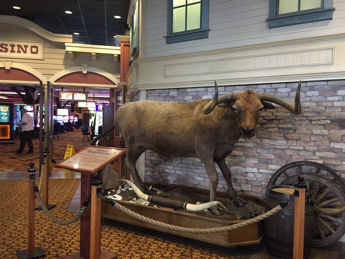 Boomtown Casino Biloxi photo 5