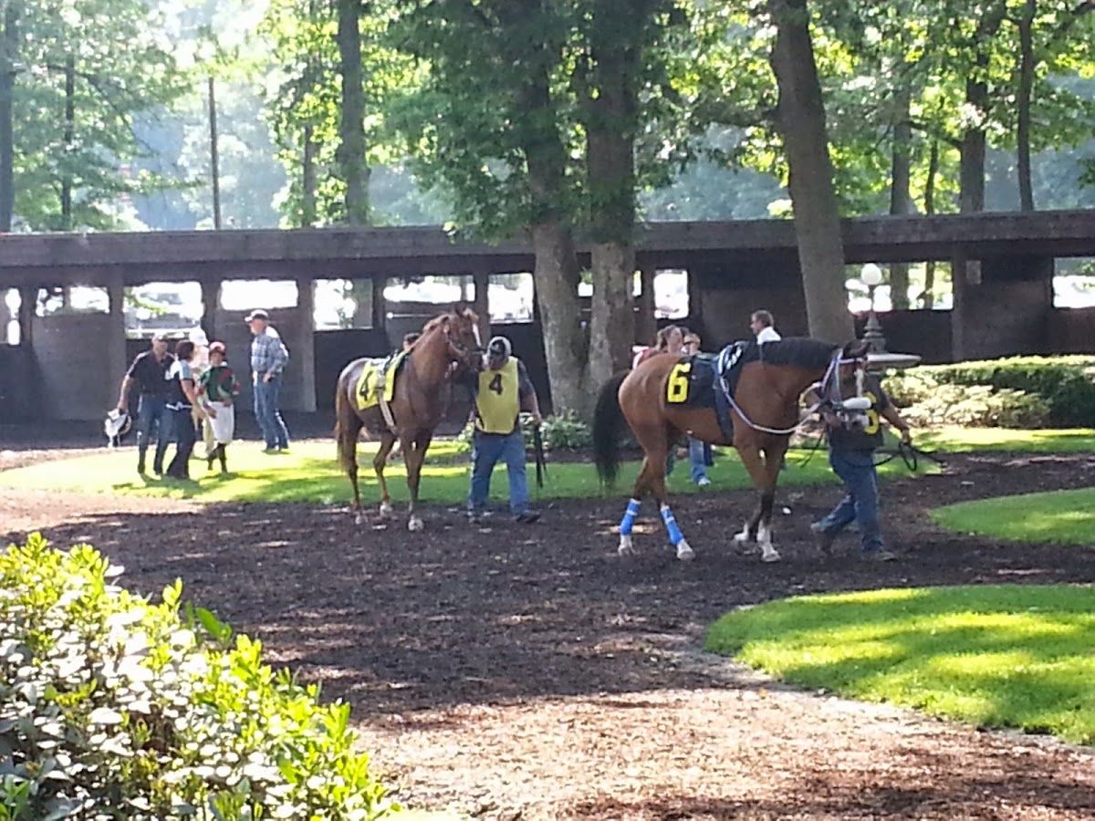 Delaware Park Casino – Poker photo 9