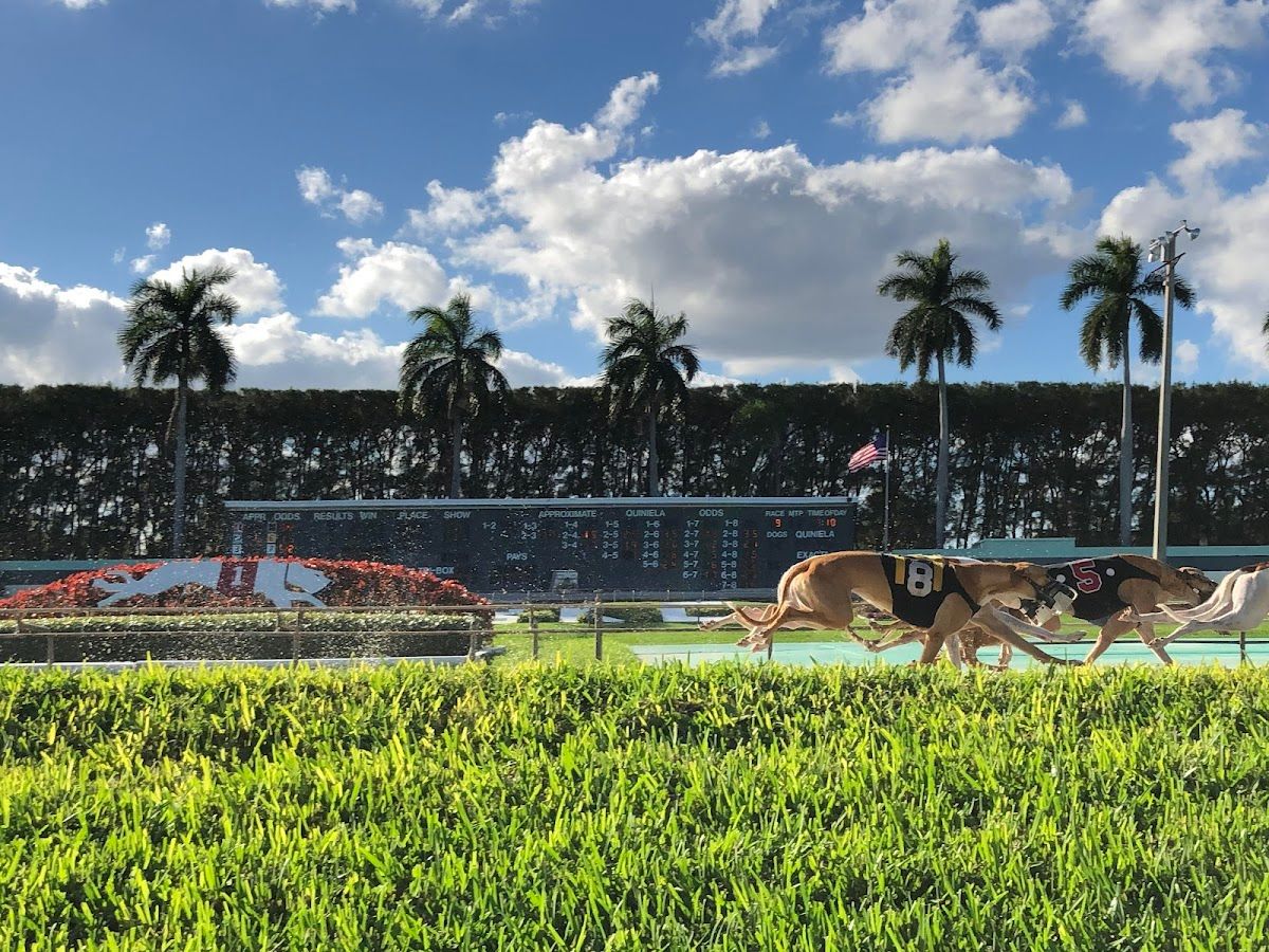 Palm Beach Kennel Club photo 3