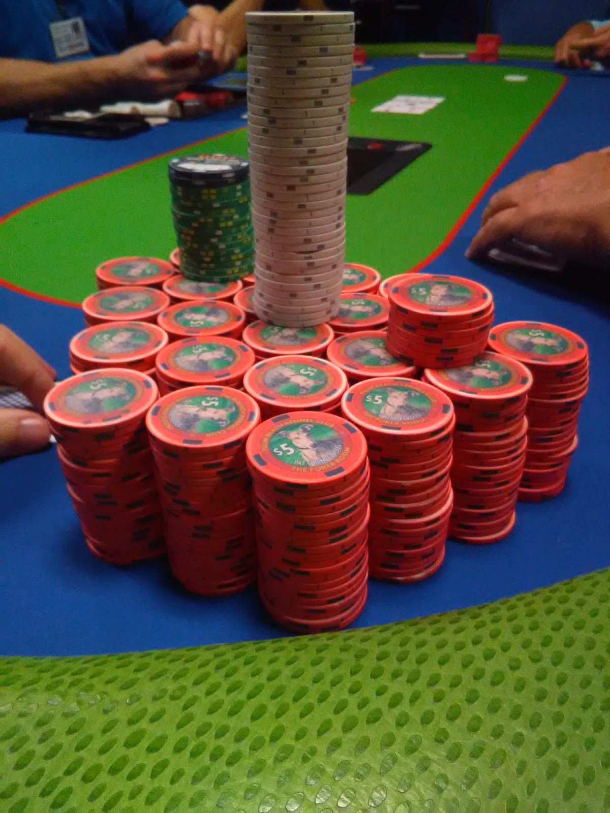 Palm Beach Kennel Club photo 10