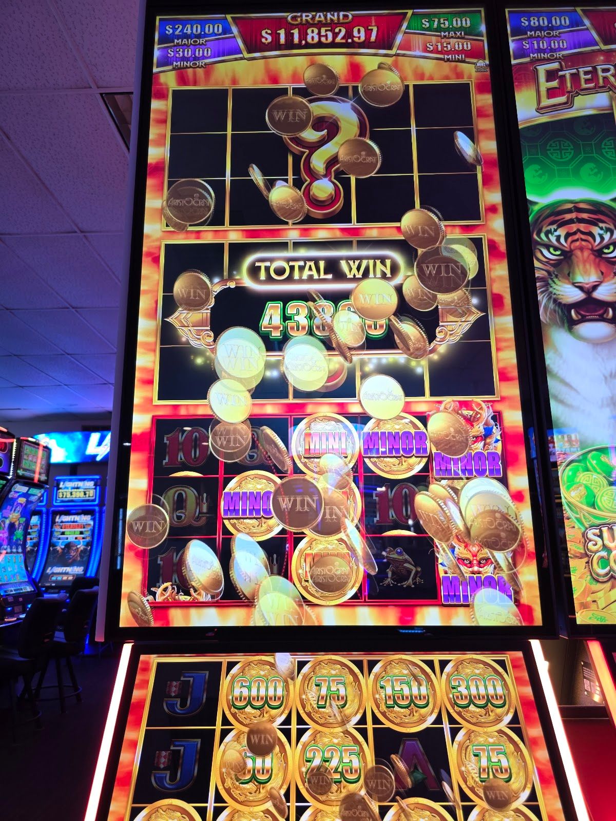 Dakota Connection Casino photo 3