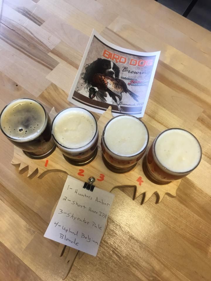 Bird Dog Saloon E-Tabs photo 4