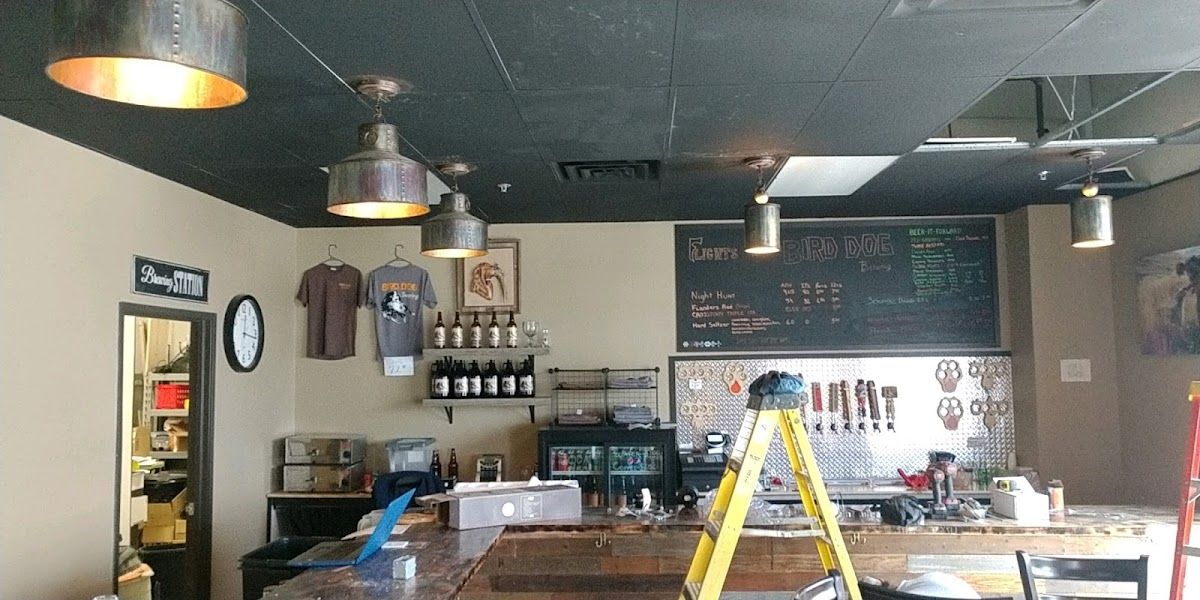 Bird Dog Saloon E-Tabs photo 7