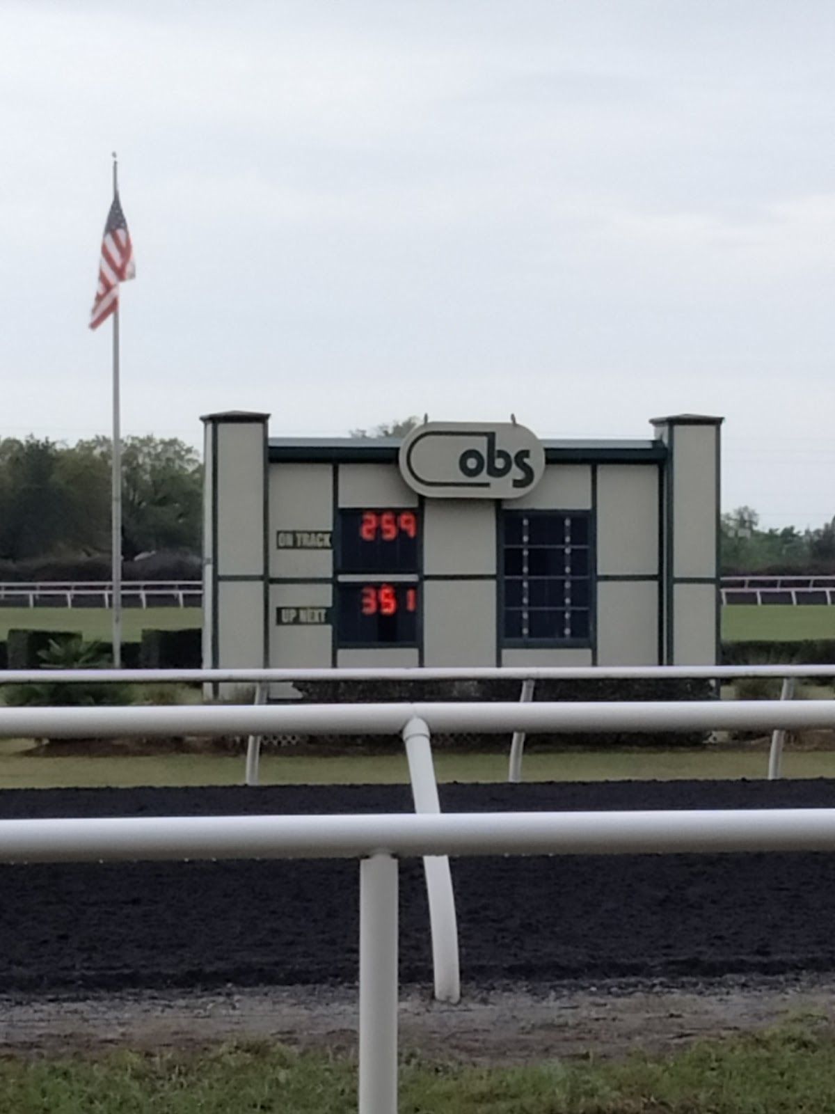Ocala Bets photo 3