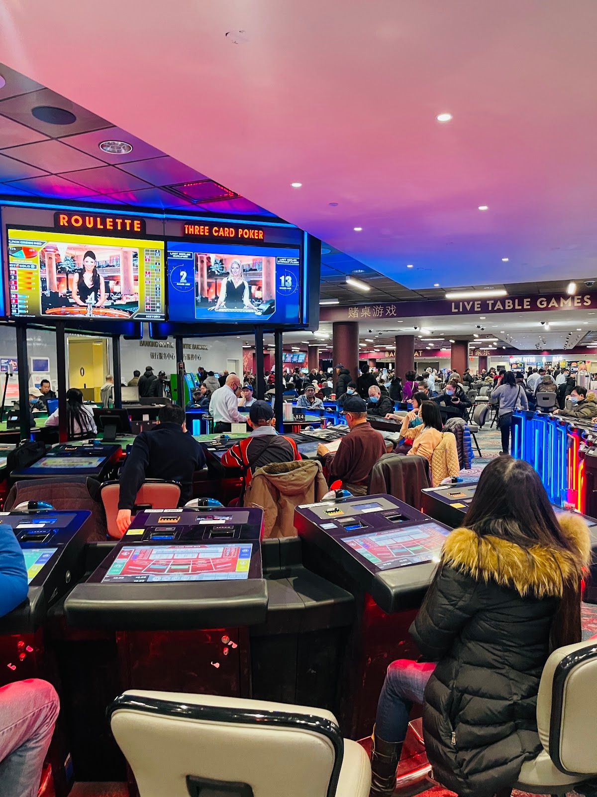 Casino at Great Canadian Toronto photo 5