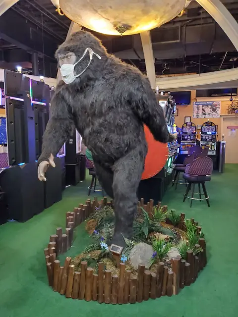 Sasquatch Casino - Casino in Black Hawk, United States