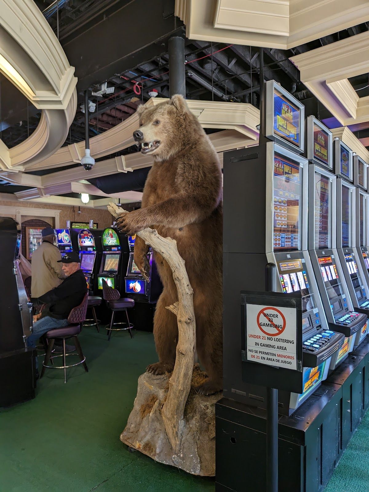Sasquatch Casino photo 4