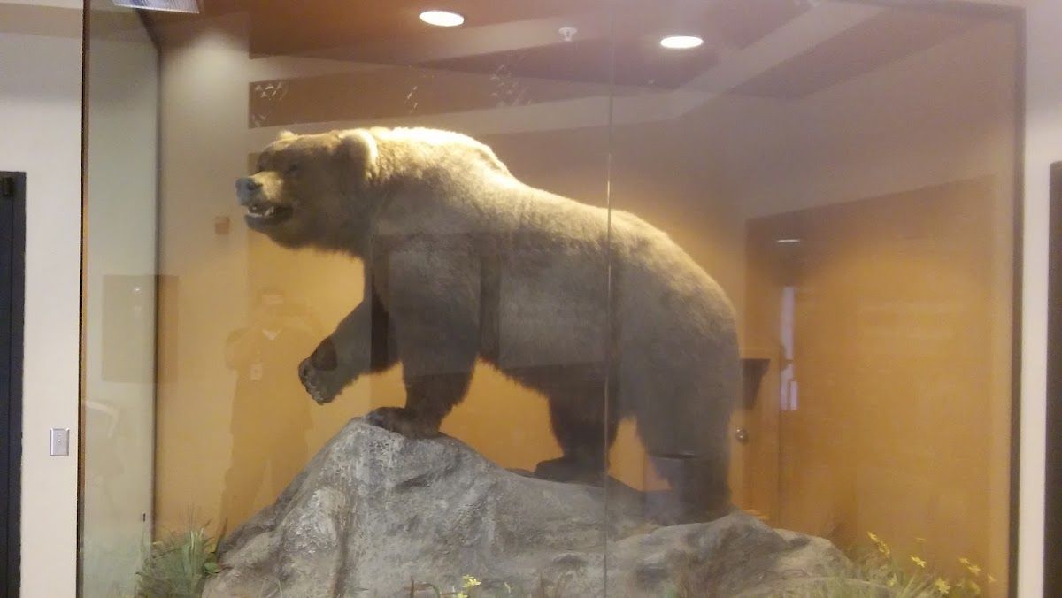 Eagle Mountain Casino Poker Room photo 6