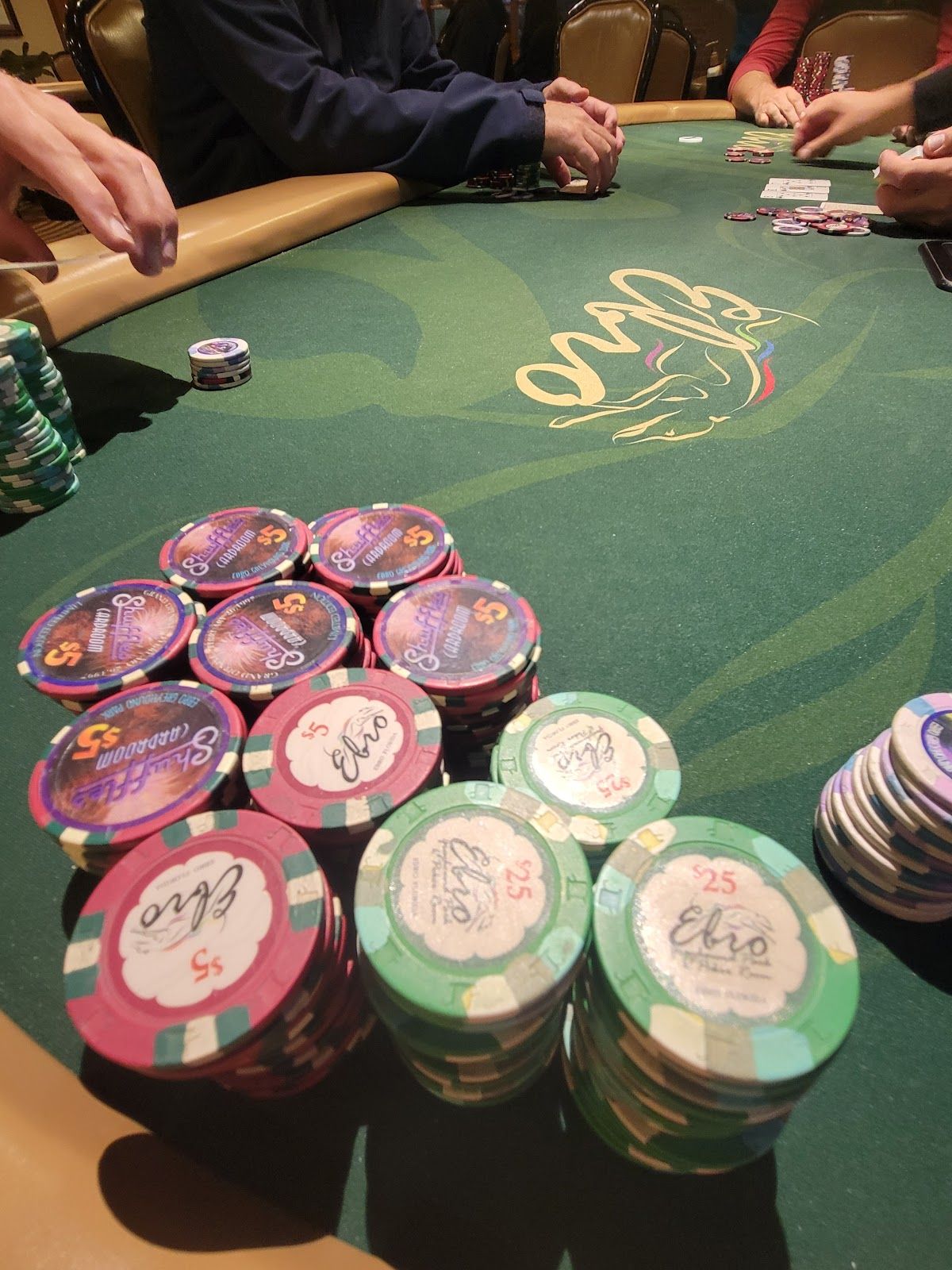 Ebro Poker Room photo 4