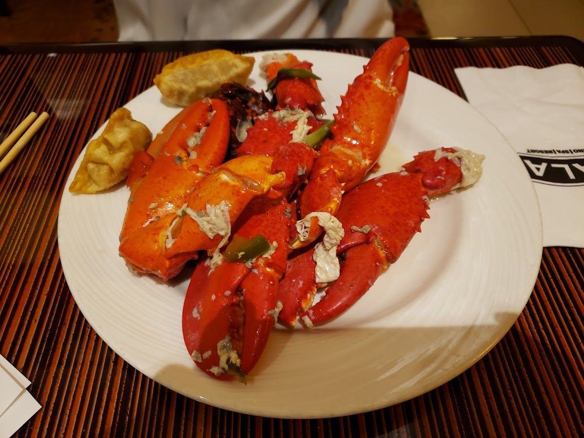 Pala Casino Spa and Resort Poker Room photo 6