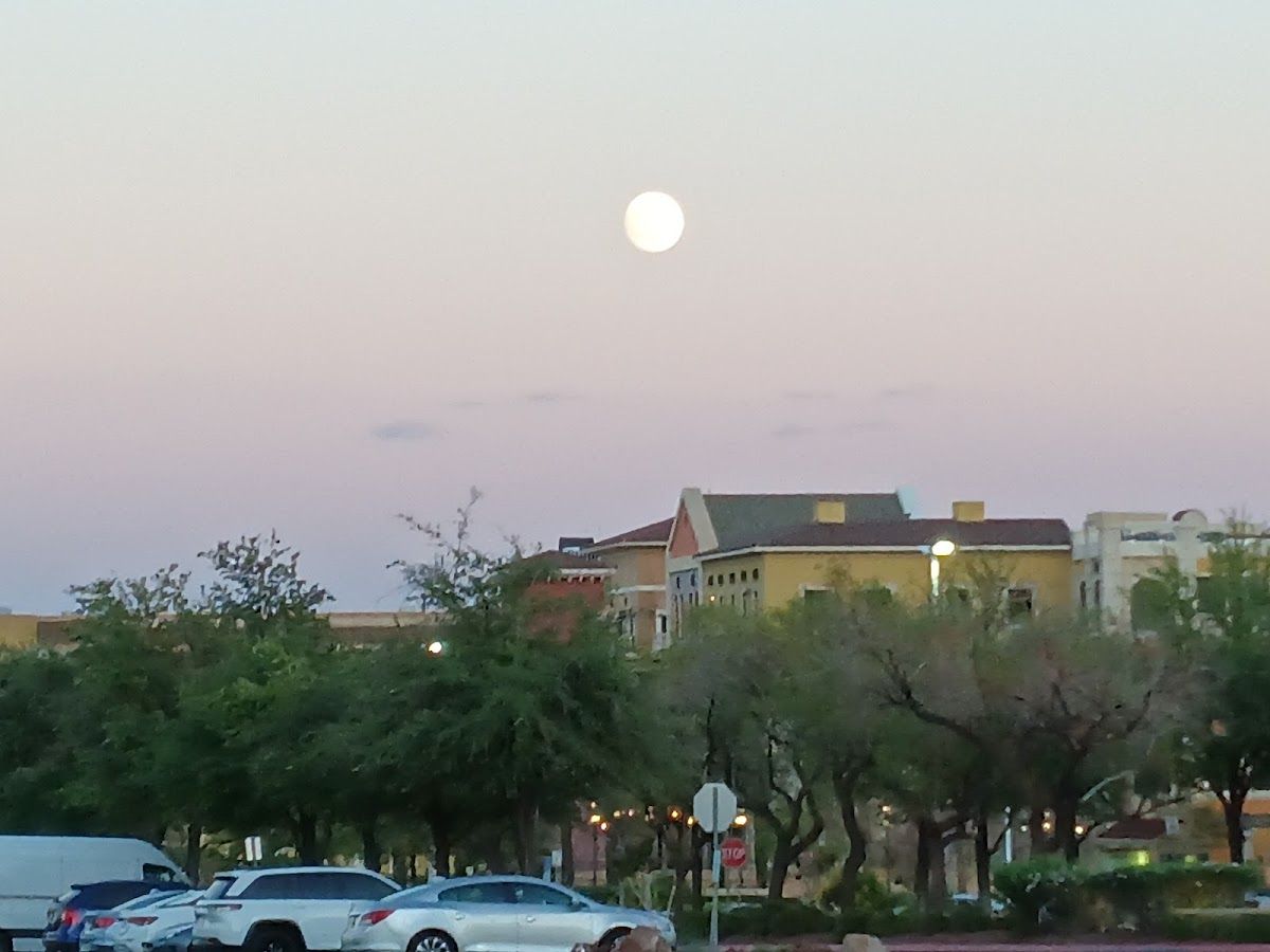 Suncoast Hotel and Casino photo 4