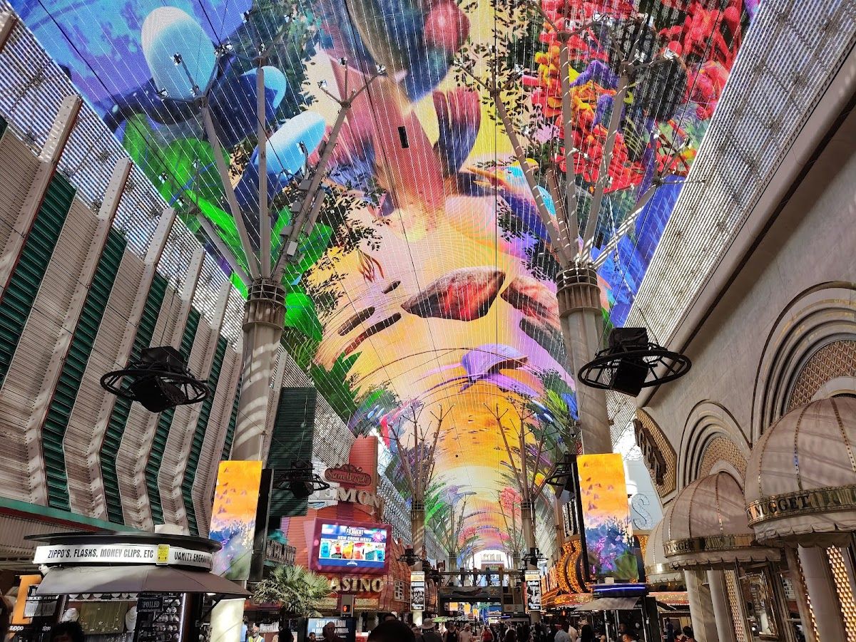 The D Las Vegas photo 8