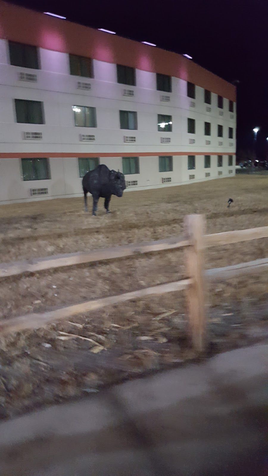 Dakota Magic Casino Resort photo 10