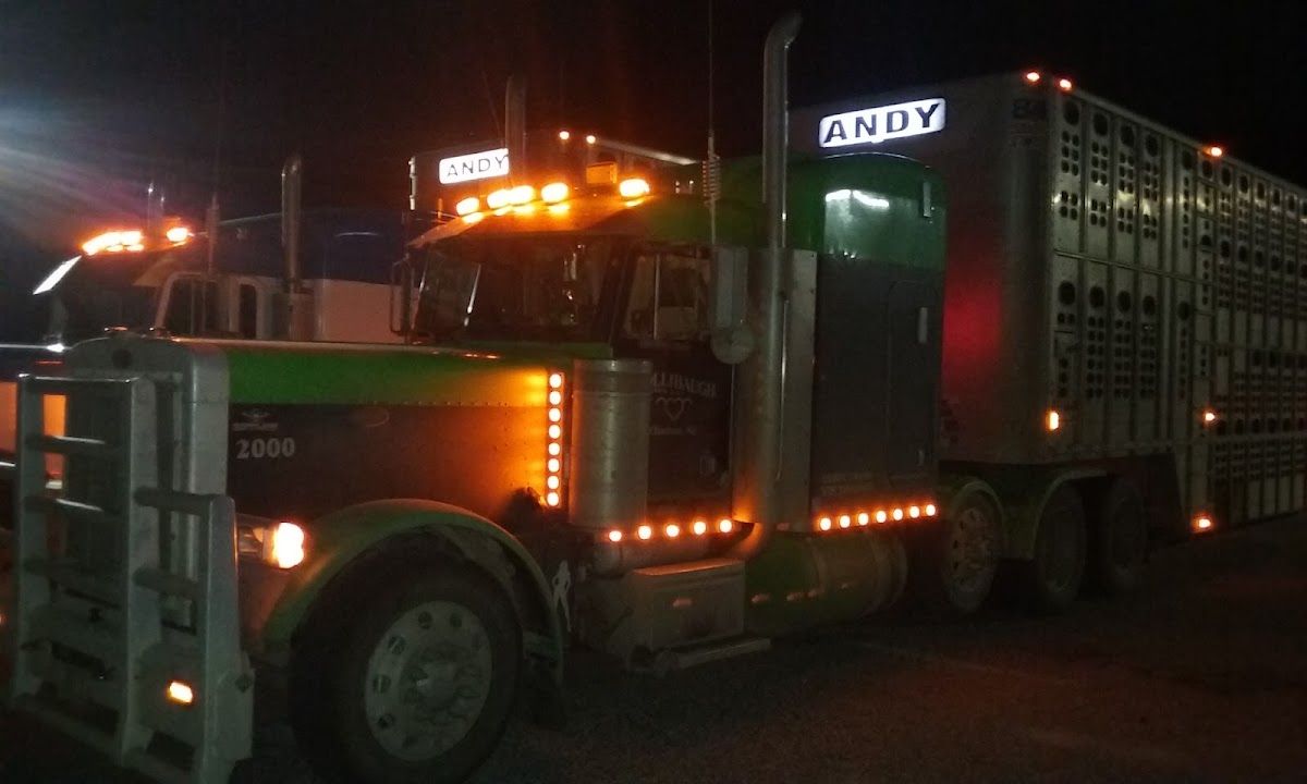 Sage Hill Travel Center & Casino photo 9