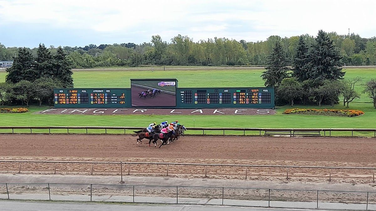 Finger Lakes Gaming & Racetrack photo 4