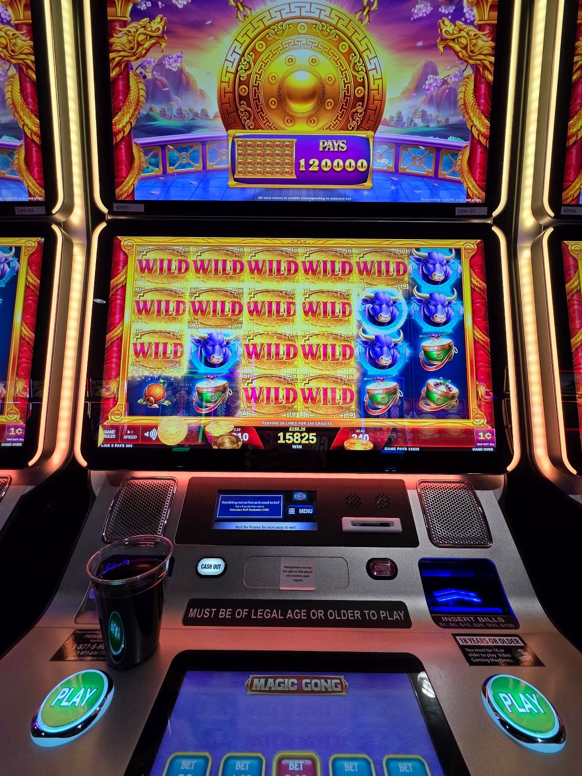 Finger Lakes Gaming & Racetrack photo 7