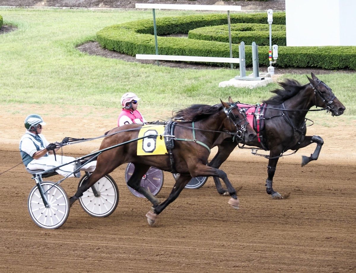 Red Mile Gaming & Racing photo 6