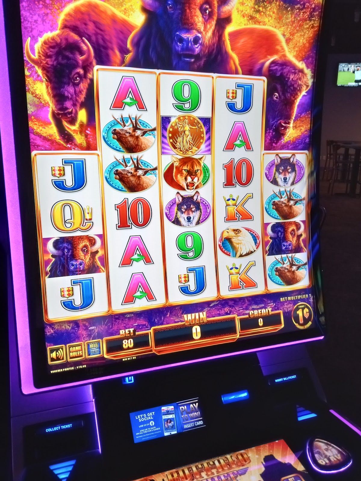 Newport Racing & Gaming photo 10