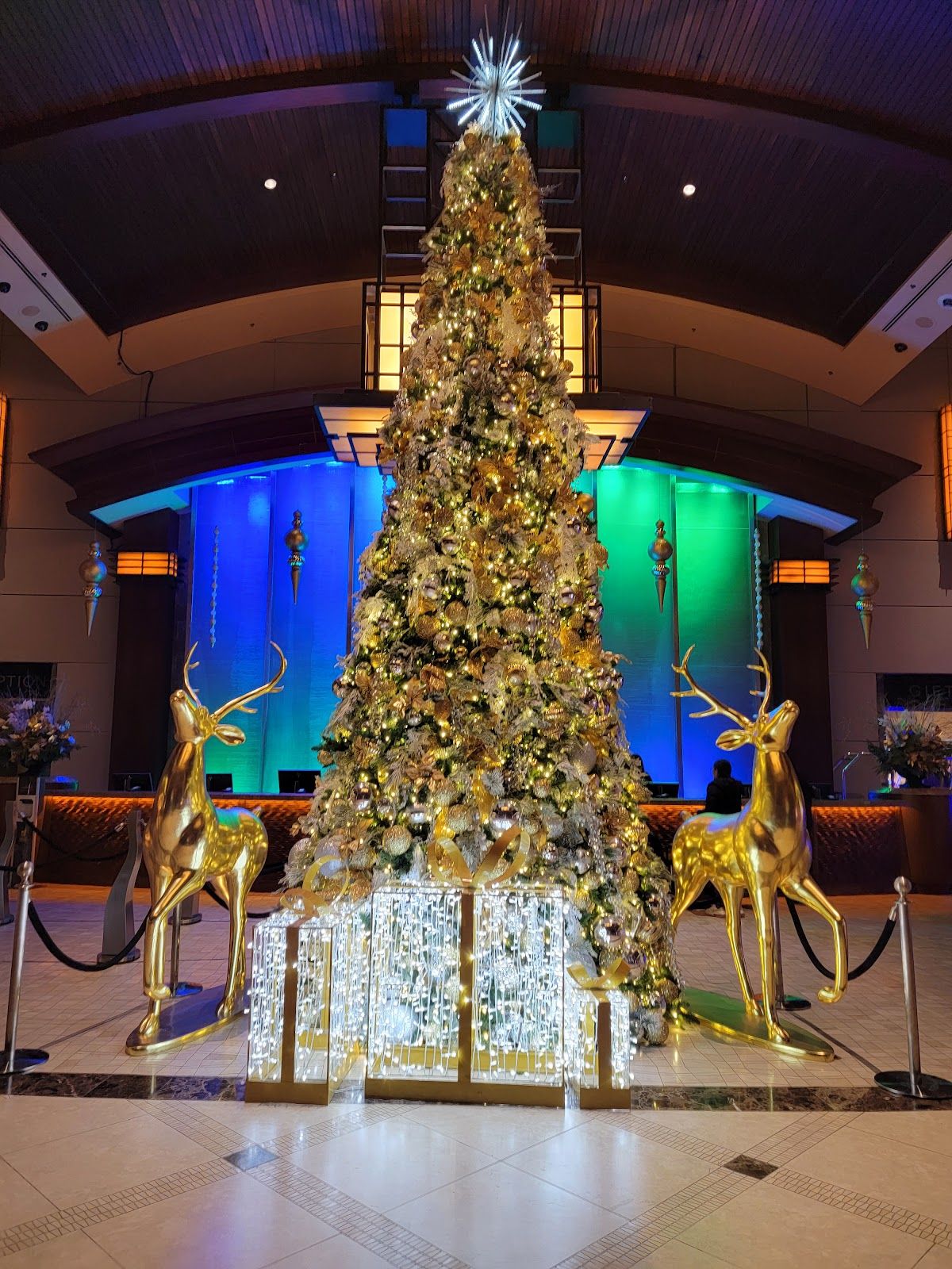 Cache Creek Casino Resort Poker Room photo 9