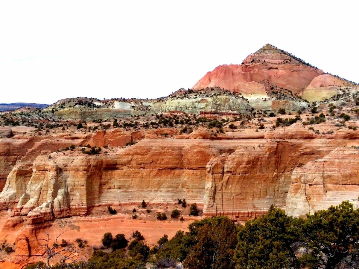 Fire Rock Casino photo 4