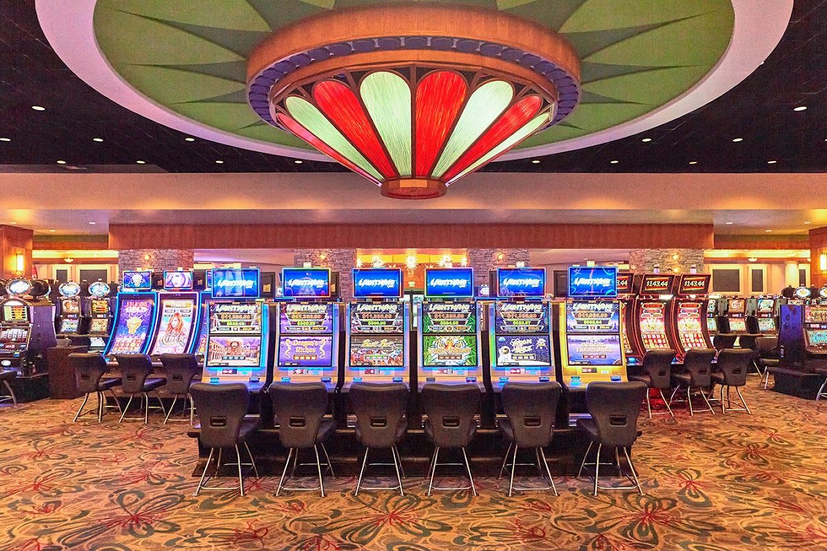 Calder Casino Tropical Park photo 2