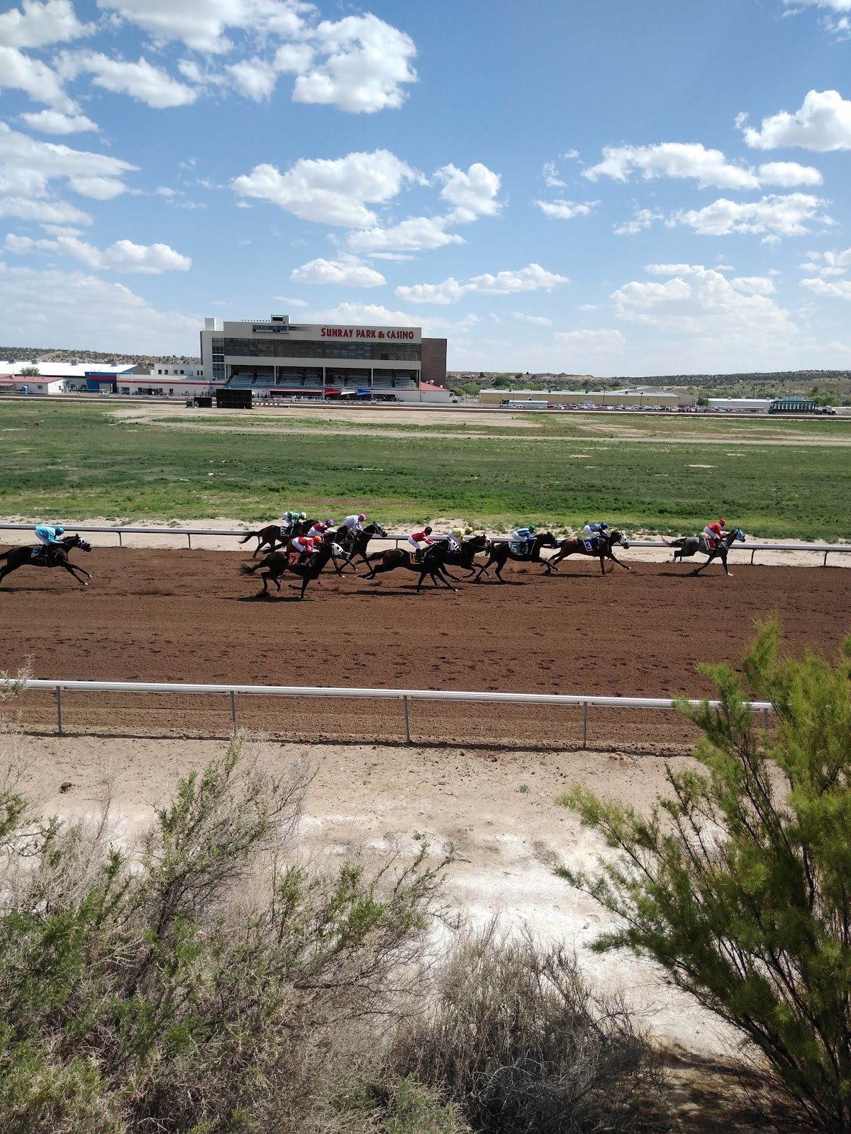 SunRay Park & Casino photo 3