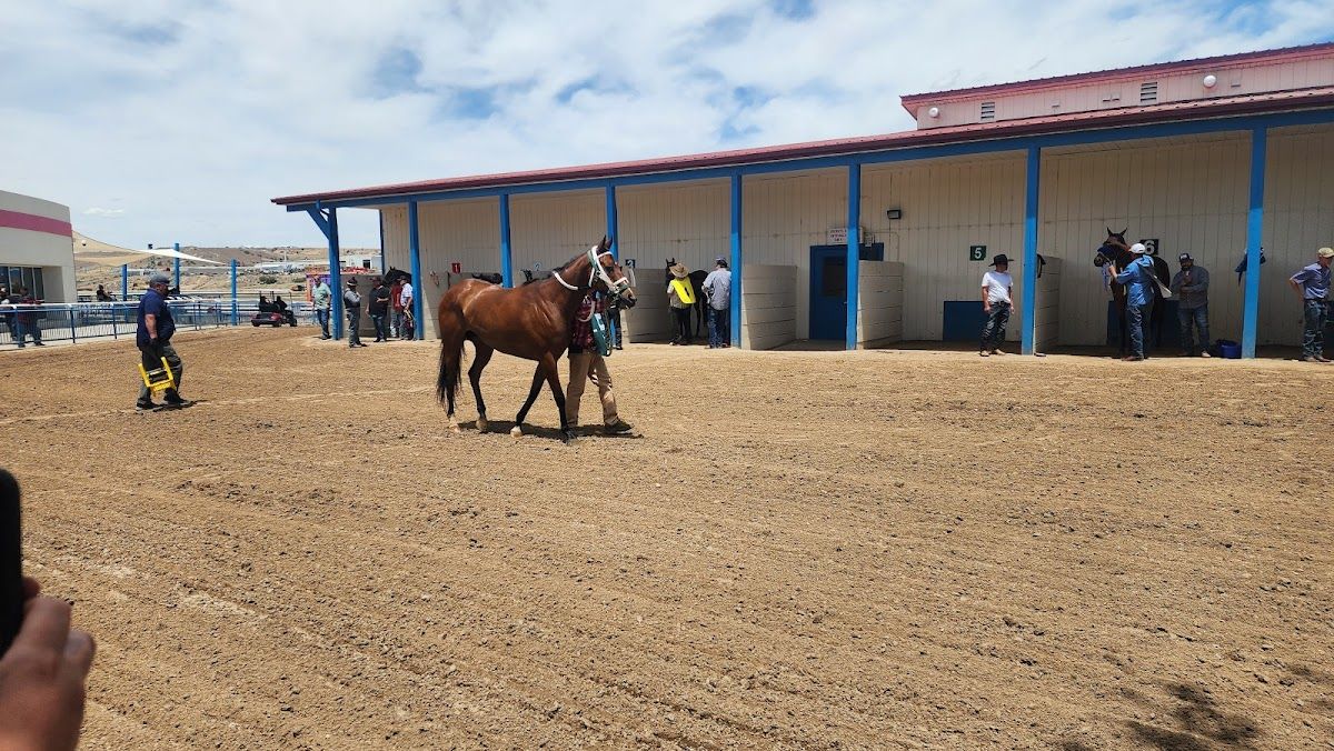 SunRay Park & Casino photo 4