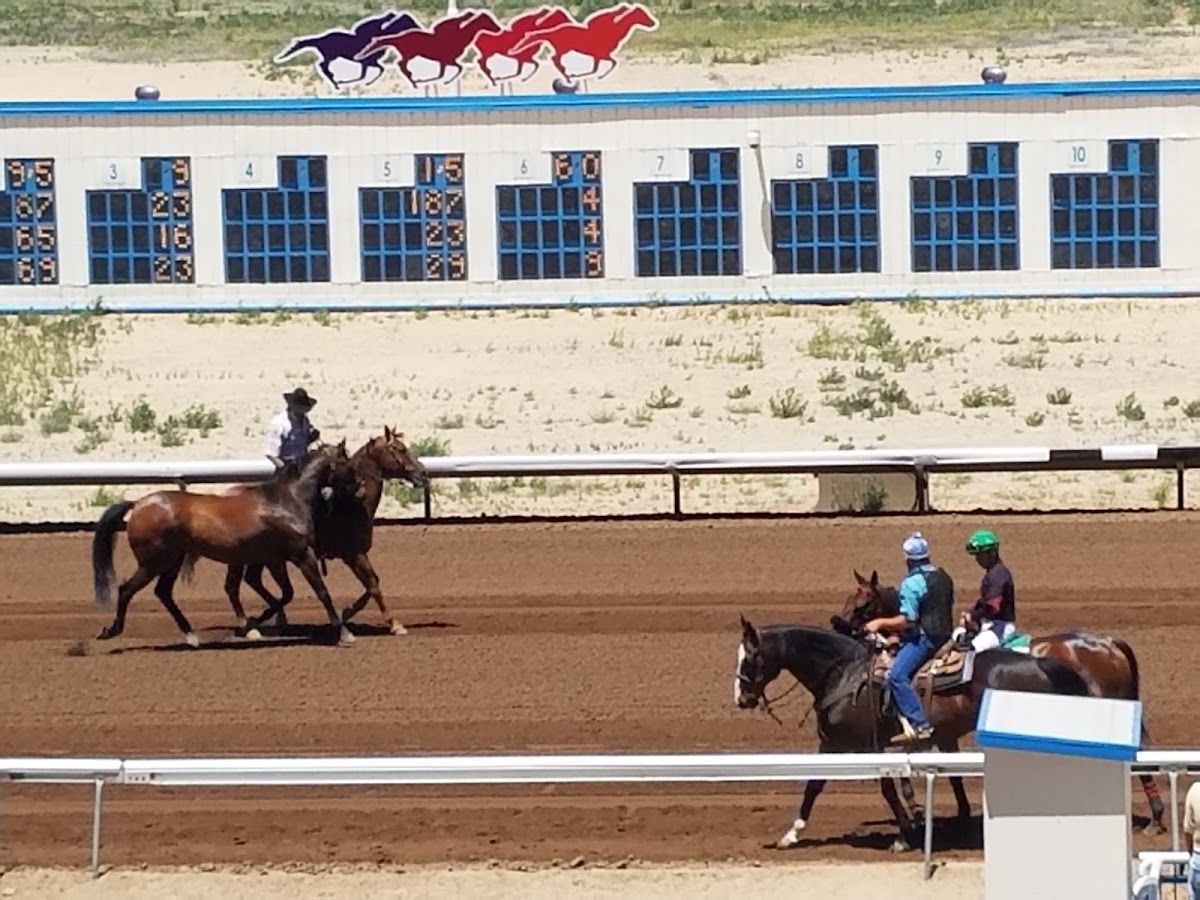 SunRay Park & Casino photo 6