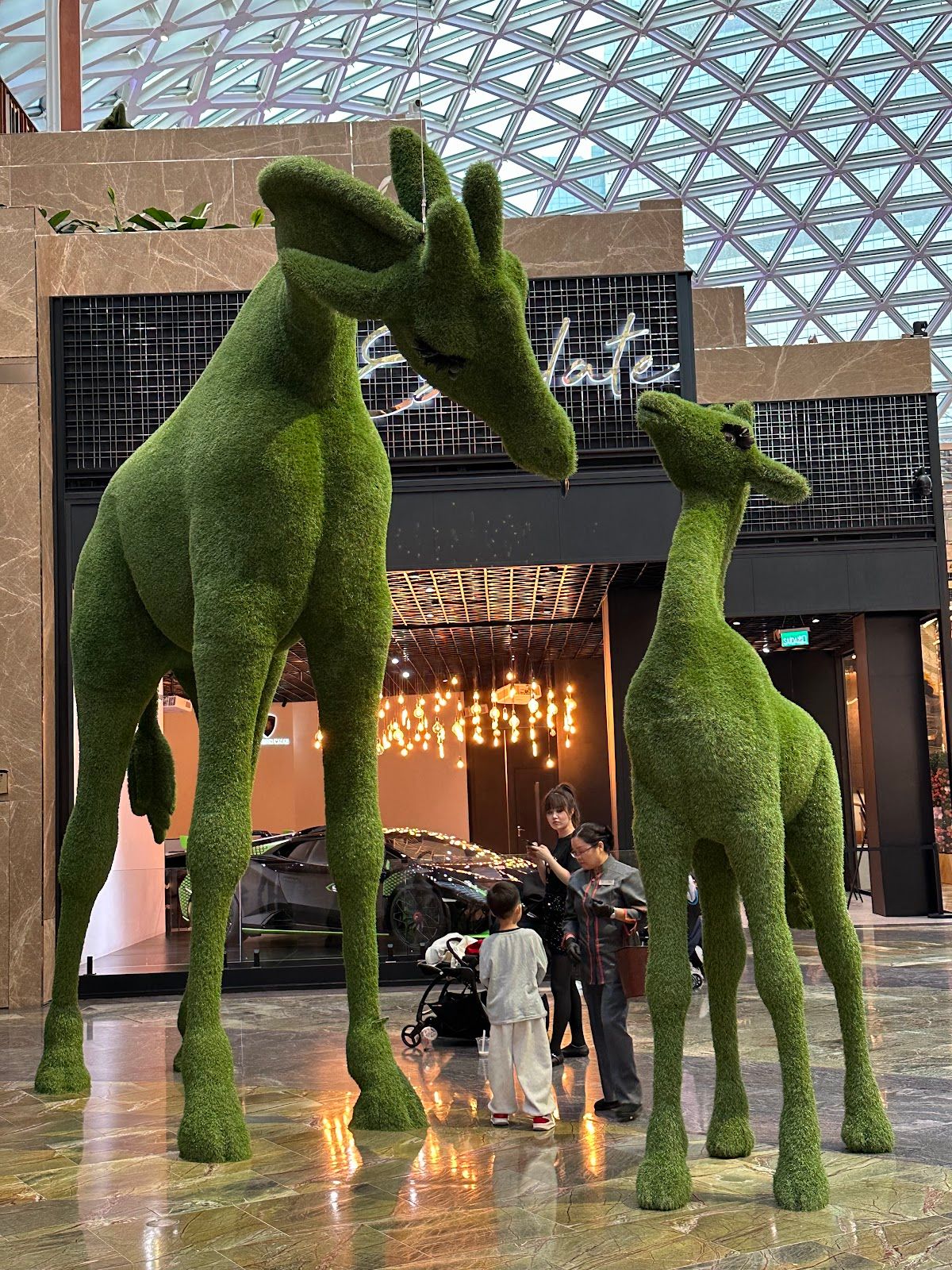 MGM Cotai – Poker photo 10