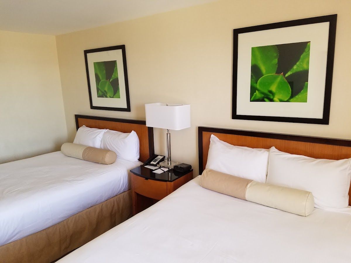 Palace Station Hotel & Casino photo 2