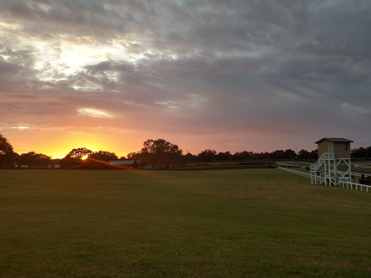 Oxford Downs photo 8