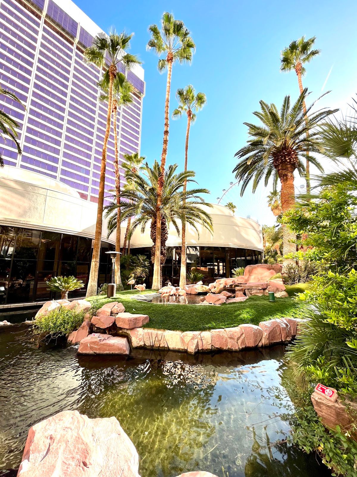 Flamingo Las Vegas photo 10
