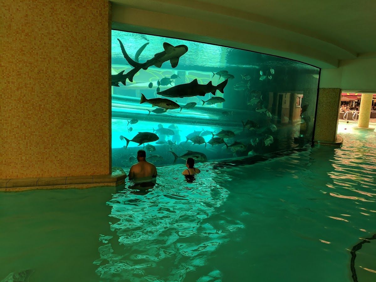 Golden Nugget Las Vegas photo 3