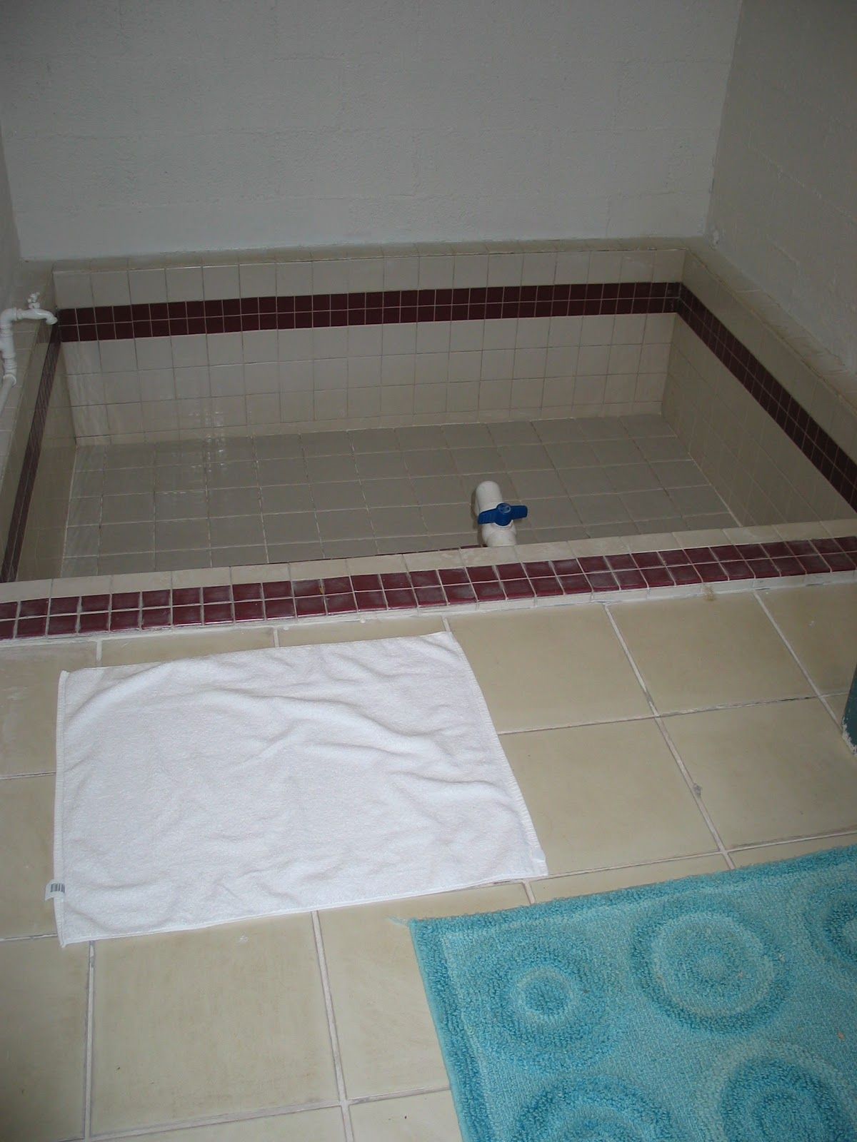 Hawthorne Caliente Hot Spring Resort photo 9