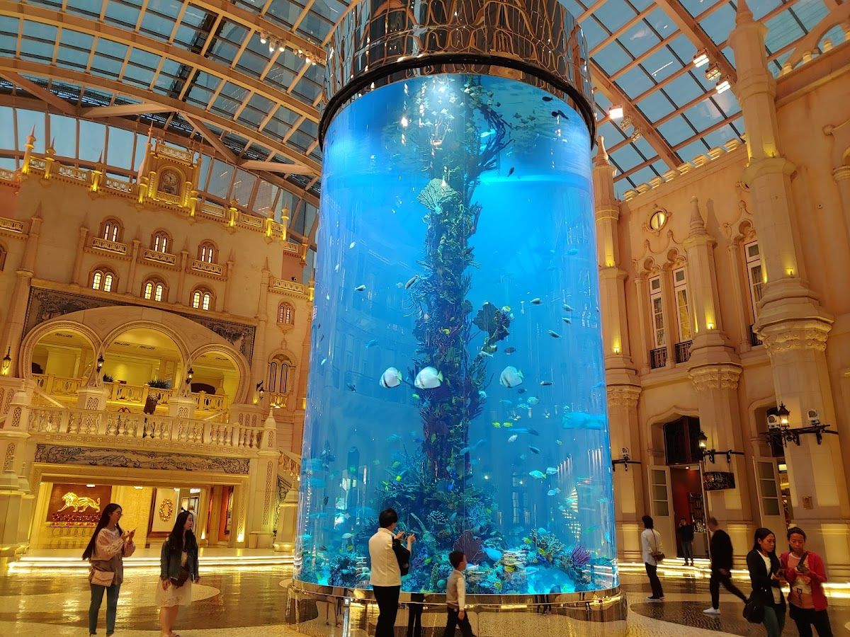 MGM Macau photo 10
